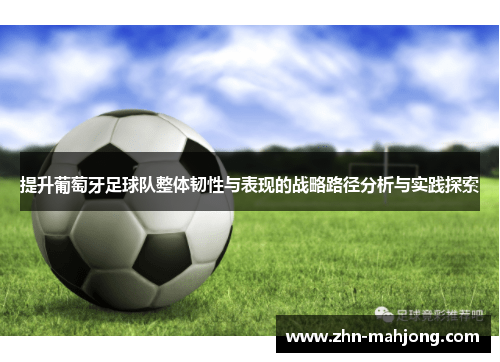 提升葡萄牙足球队整体韧性与表现的战略路径分析与实践探索