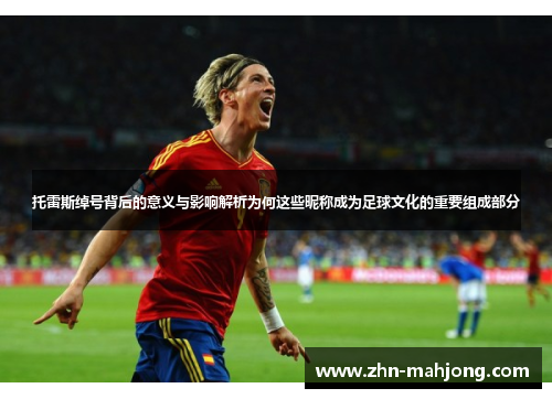 托雷斯绰号背后的意义与影响解析为何这些昵称成为足球文化的重要组成部分