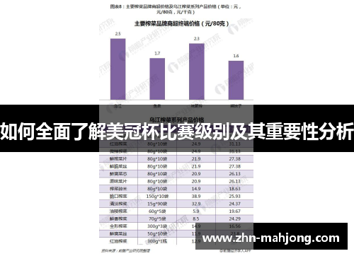 如何全面了解美冠杯比赛级别及其重要性分析 如何全面了解美冠杯比赛级别及其重要性分析