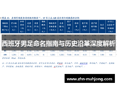 西班牙男足命名指南与历史沿革深度解析 西班牙男足命名指南与历史沿革深度解析